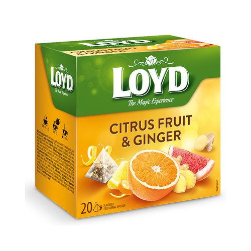 Loyd pyramid tea citrus fruit-ginger - 40g