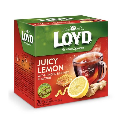 Loyd pyramid HOT tea ginger-lemon-honey - 40g