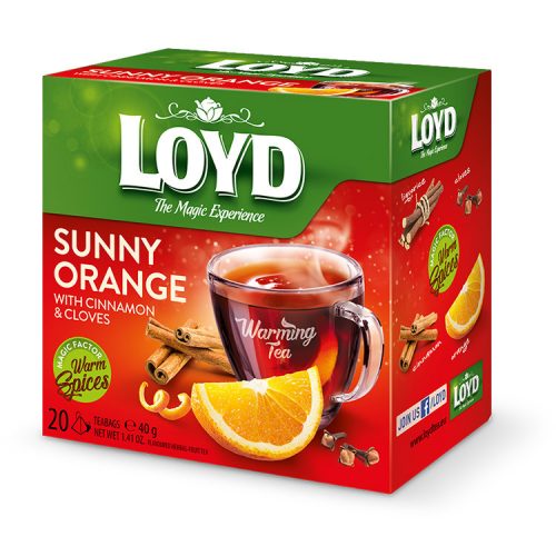 Loyd pyramid HOT tea orange-cinnamon - 40g